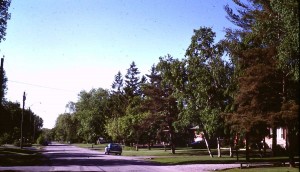 The street in Highland Creek where I lived in the 1980s. It looks conventionally suburban but was a community built around a century old village core with many houses self-built after WW2.