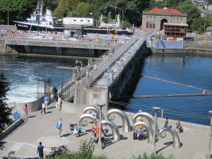 A view of Ballard Locks from my condominium in Seattle. The installation in the foreground is called Waves and is both much photographed and a source of great entertainment for children