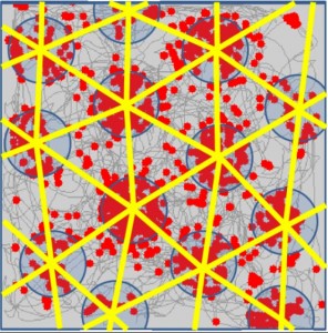 Grid-cells-2